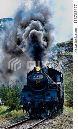 Steam locomotive of Moka railroad 118783477