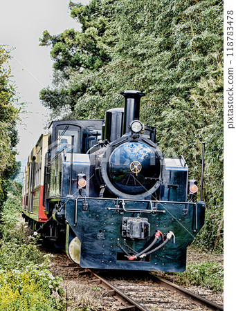 Satoyama Troll of Kominato Railroad Satoyama Troll of Kominato Railroad 118783478