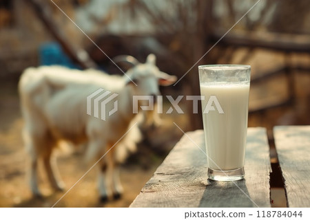 A glass of milk against the background of a goat in the village. Farm homemade product. 118784044
