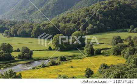 the field of rice fields and mountain 118784125