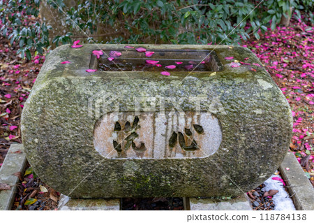 Hand-washing basin, chouzubachi in Japanese, at shrine, with flowers and petals. Kanazawa, Ishikawa, Japan Hand-washing basin, chouzubachi in Japanese, at shrine, with flowers and petals. Kanazawa, Ishikawa, Japan 118784138