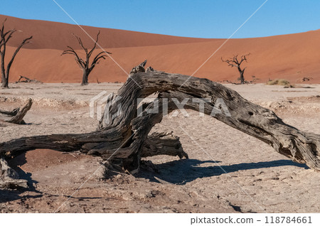 Barren landscape near Deadvlei and sossusvlei Barren landscape near Deadvlei and sossusvlei 118784661