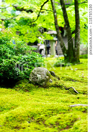 Sanzen-in Temple (the birthplace of chanting) in Ohara Raigoin-cho, Sakyo-ku, Kyoto City. A baby Jizo statue playing with moss in Yusei-en Garden. 118785180