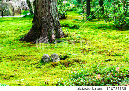 Sanzen-in Temple (the birthplace of chanting) in Ohara Raigoin-cho, Sakyo-ku, Kyoto City. A baby Jizo statue playing with moss in Yusei-en Garden. 118785186