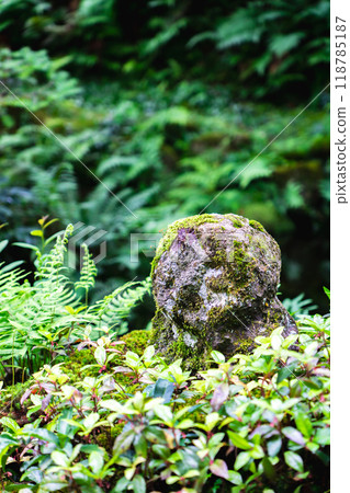 Sanzen-in Temple (the birthplace of chanting) in Ohara Raigoin-cho, Sakyo-ku, Kyoto City. A baby Jizo statue playing with moss in Yusei-en Garden. 118785187