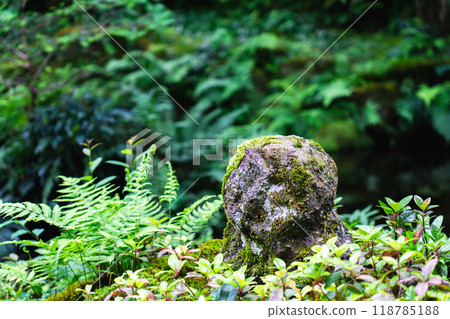 京都市左京區大原來禦院町三千院有生園（此說法的發源地）玩青苔的小孩地藏 118785188