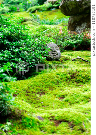 Sanzen-in Temple (the birthplace of chanting) in Ohara Raigoin-cho, Sakyo-ku, Kyoto City. A baby Jizo statue playing with moss in Yusei-en Garden. 118785191