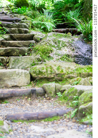 Sanzen-in Temple (the birthplace of Shomyo) in Ohara Raigoincho, Sakyo Ward, Kyoto City 118785417