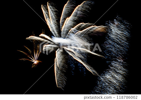 Fireworks lighting up the night sky. Pyrotechnics, abstract Fireworks lighting up the night sky. Pyrotechnics, abstract 118786002