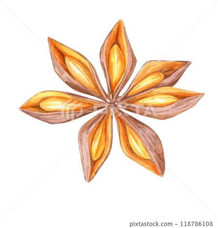A star anise in warm brown and orange tones. Watercolor illustration ideal for spice-themed designs, culinary blogs, and kitchen decor. Perfect for enhancing holiday cards and food packaging 118786108