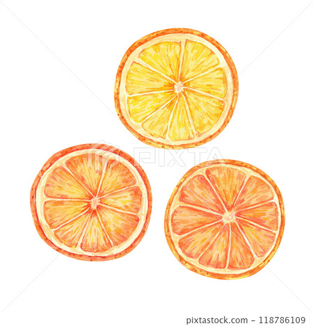 Orange slices in bright orange colors. Watercolor illustration for food blogs, cookbooks, and summer party decor. Citrus clipart for beverage labels, menu, invitation, juice and recipe cards 118786109