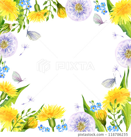 watercolor square frame with summer field flowers, hand draw illustration of yellow dandelions and blow balls, leaves, herbs, butterfly on white background watercolor square frame with summer field flowers, hand draw illustration of yellow dandelions and blow balls, leaves, herbs, butterfly on white background 118786235