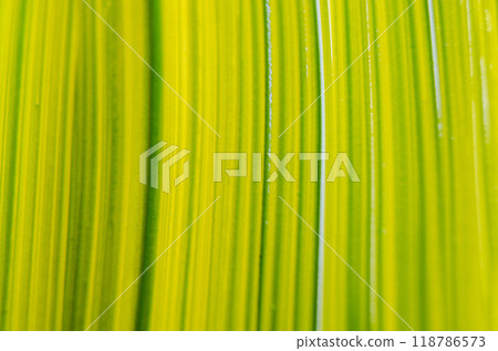 Top view yellow and green watercolor suitable for wallpaper or decoration design 118786573