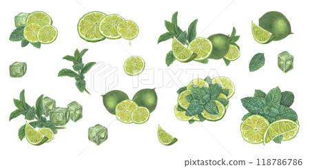 Lime whole and slices, green mint leaves and ice cubes watercolor realistic summer illustration clip art. Botanical beach fresh ripe fruits for drink decor posters, celebration design, cocktail party 118786786