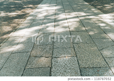 陽光透過樹林照進鹿島神社的參道 陽光透過樹林照進鹿島神社的參道 118787032