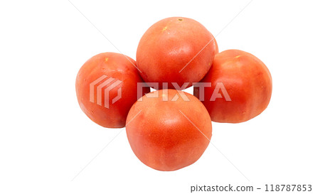 番茄透明材質 118787853