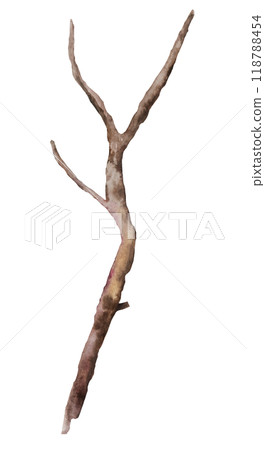 Watercolor brown defoliated tree branch, Rustic or Boho Wedding isolated illustration 118788454