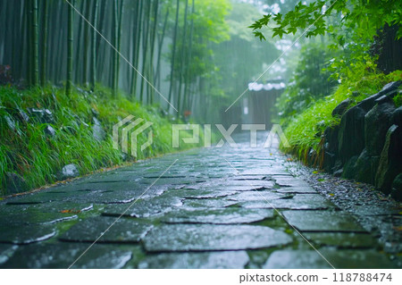 Rape flower fields and Gassho-style villages 118788474