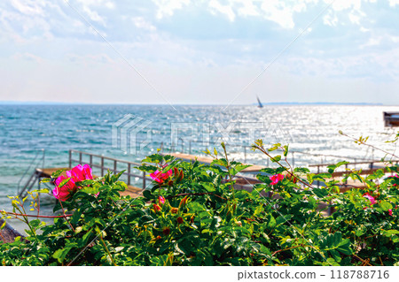 Beautiful seascape with sailing boat in the distance and pier Beautiful seascape with sailing boat in the distance and pier 118788716