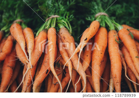 Bunch of organic dirty fresh carrots with greens close up. 118789939