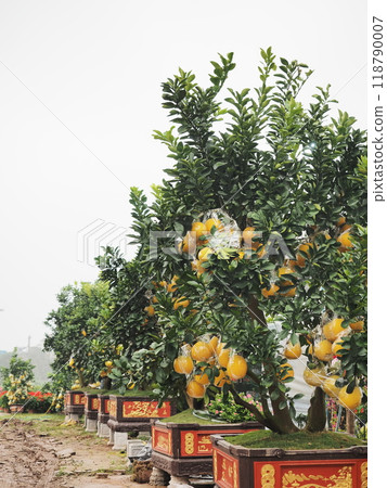 Hanoi immediately after the typhoon disaster 118790007