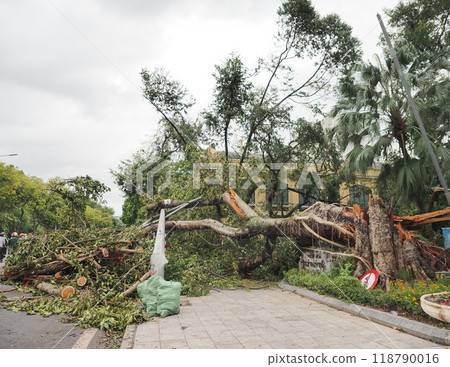 Hanoi immediately after the typhoon disaster 118790016