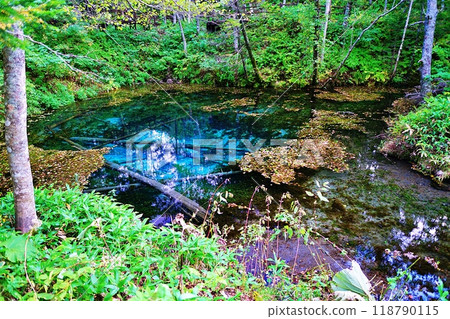 上之子池(北海道清裡町) 上之子池(北海道清裡町) 118790115
