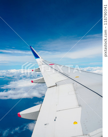 Left wing of the plane 118790341