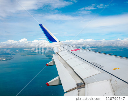 飛機的左翼 118790347