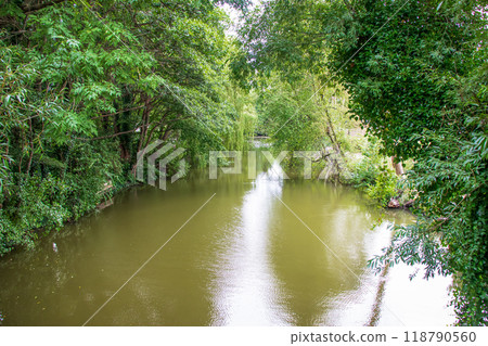 Small quiet lake surrounded by green trees. 118790560