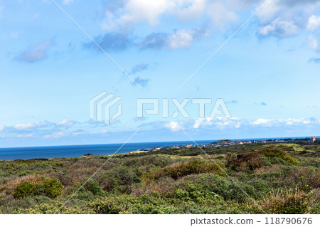 Landscape with green grass and bushes by the sea. Sand dunes overgrown with grass on the north sea. Landscape with green grass and bushes by the sea. Sand dunes overgrown with grass on the north sea. 118790676