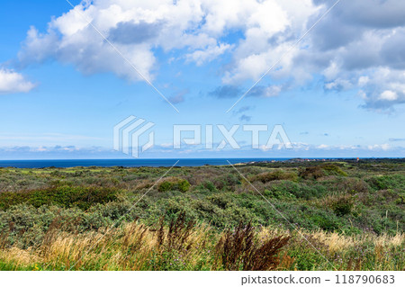 Landscape with green grass and bushes by the sea. Sand dunes overgrown with grass on the north sea. 118790683