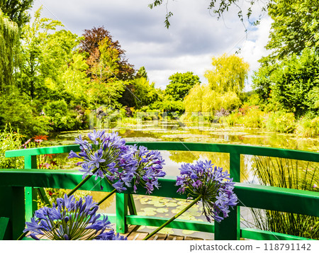 Impressive view of Monet's garden with japanese bridge, Giverny, France 118791142