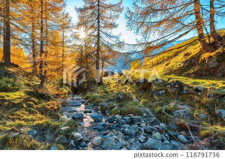 Wonderful autumn landscape  at Grossglockner High Alpine Road. 118791736