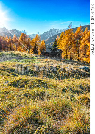 Wonderful autumn landscape  at Grossglockner High Alpine Road. 118791758