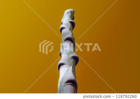 Unusual colorful tropical trees with fallen leaves, background Unusual colorful tropical trees with fallen leaves, background 118792260