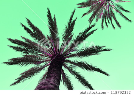 Palm Tree Leaves Against The Sky, Juicy Tropical Background 118792352