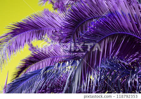 Palm Tree Leaves Against The Sky, Juicy Tropical Background 118792353