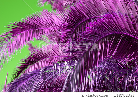 Palm Tree Leaves Against The Sky, Juicy Tropical Background 118792355