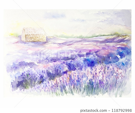 Lavender field, landscape horizontal. Watercolor illustration isolated on white. Cosmetic collections, cards, labels, posters, SPA salon backgrounds. 118792998