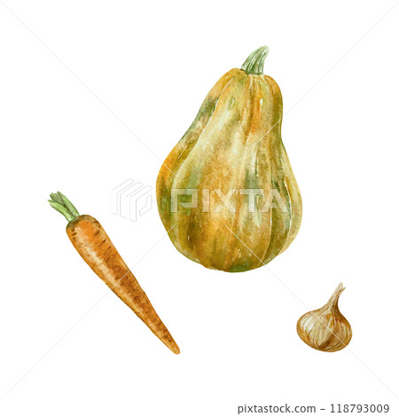 Pumpkin, carrot, onion. Autumn harvest watercolor. Hand drawn vector illustration of vegetables. For food packaging, labels, banners, posters. 118793009