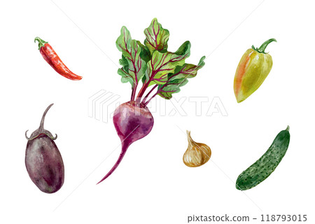 Vegetable set watercolor. Beetroot, eggplant, cucumber, tomato, pepper, onion. Vector illustration. Cards, labels, Harvest and Vegetarian Day banners. 118793015