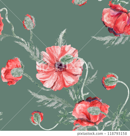 Seamless botanical watercolor pattern with poppies on a white background 118793158