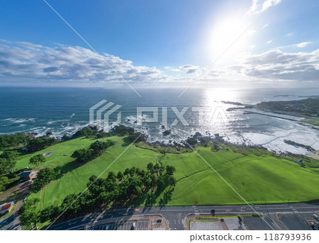 Aerial view of the beautiful coastline with natural grass, Tanesashi Coast, Hachinohe City, Aomori Prefecture 118793936