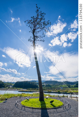 「岩手縣」奇蹟松，陸前高田市 118794280