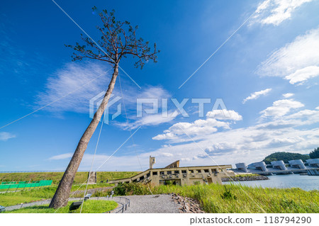「岩手縣」奇蹟松，陸前高田市 118794290