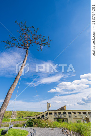 「岩手縣」奇蹟松，陸前高田市 118794291