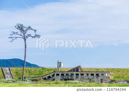 「岩手縣」奇蹟松，陸前高田市 118794294