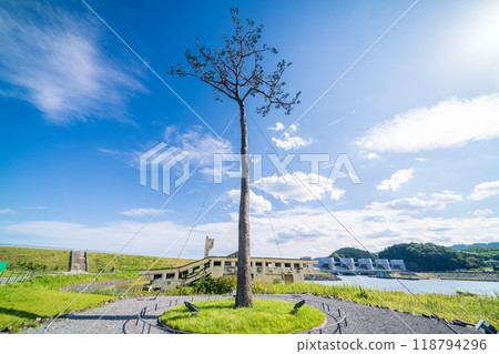 「岩手縣」奇蹟松，陸前高田市 118794296