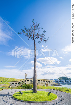 "Iwate Prefecture" Miracle Pine Tree, Rikuzentakata City 118794297